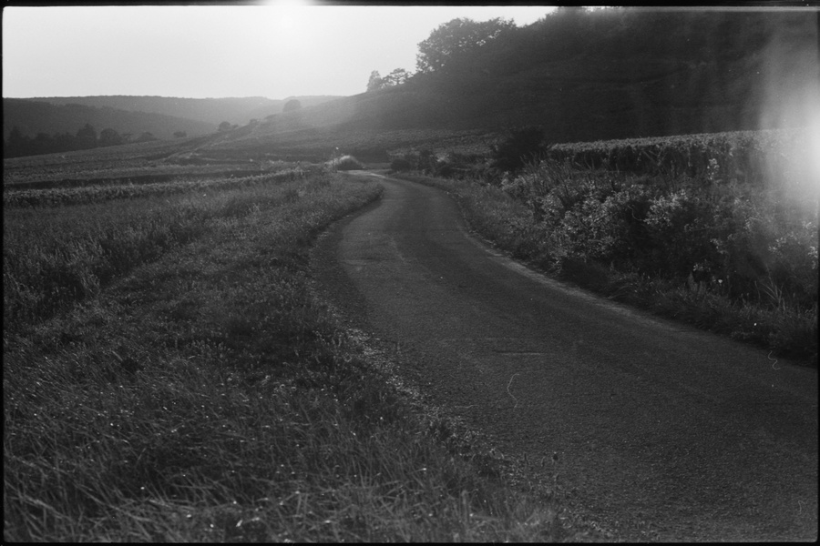 Chemin de vigne