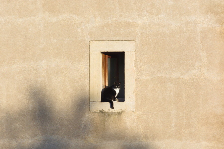 Chat