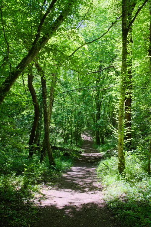 Chemin