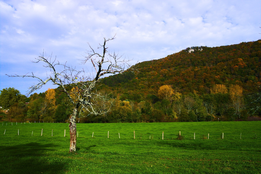 Pré