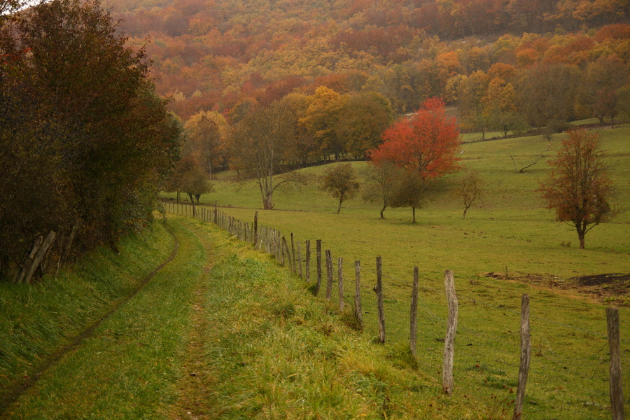 Début de chemin