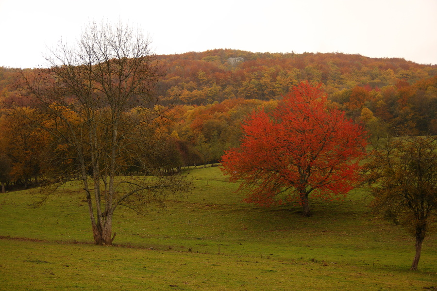 Automne...