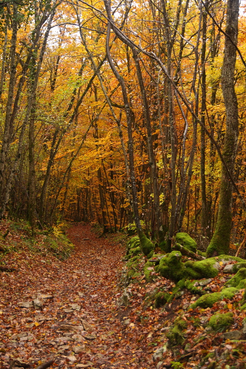 Sentier sympathique...