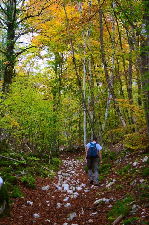 Sentier