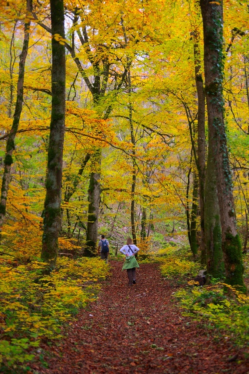 Chemin