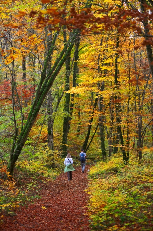 Chemin