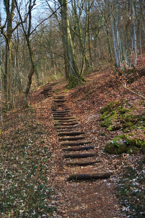 Montée