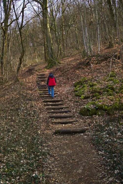 Montée vers Chaudanne