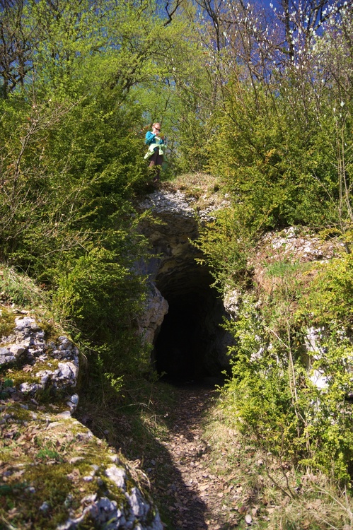 La grotte du renard
