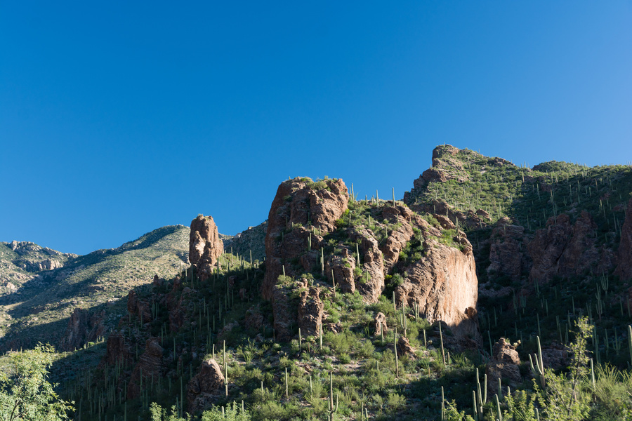 Ventana Canyon