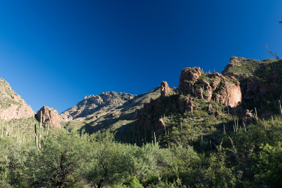 Ventana Canyon