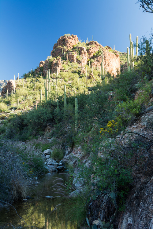 Ventana Canyon
