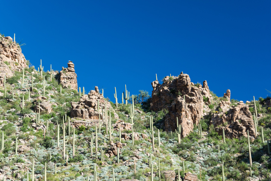 Ventana canyon