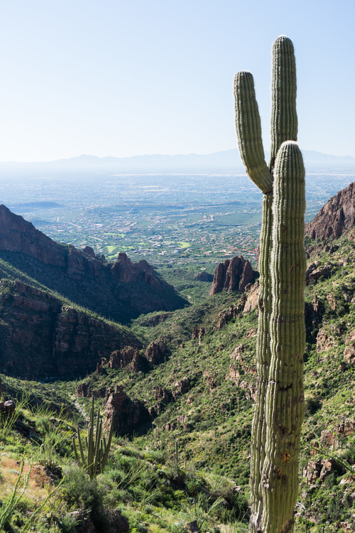Ventana canyon