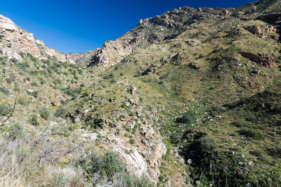Ventana canyon