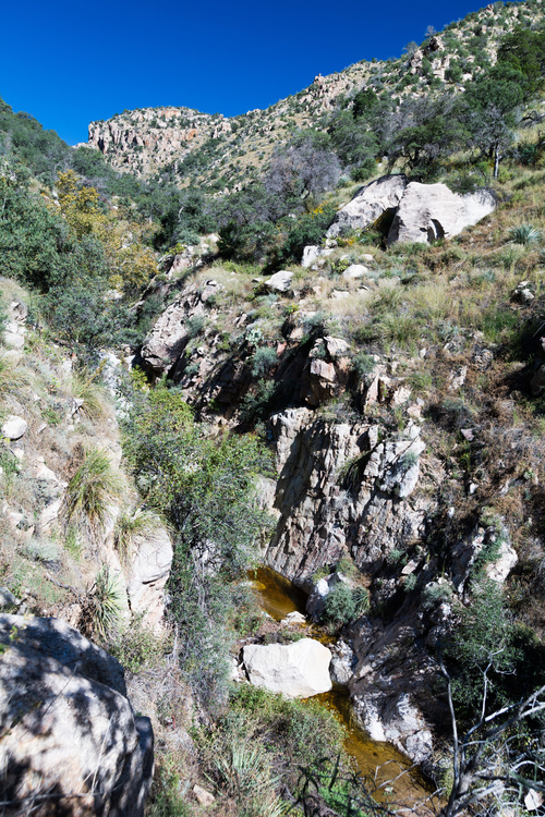 Ventana canyon