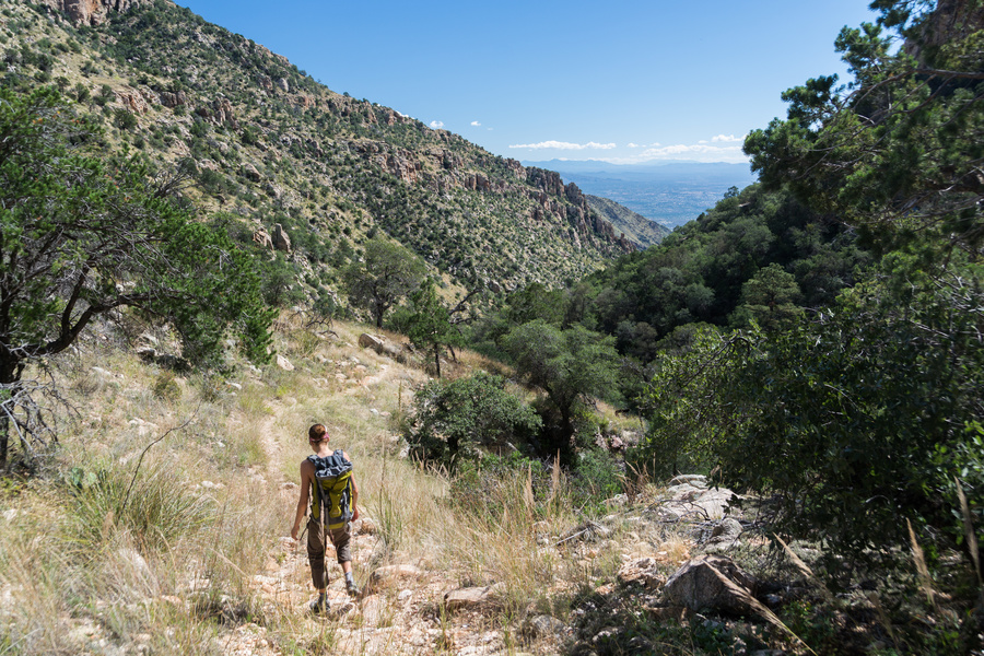 Ventana canyon