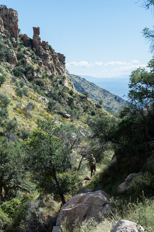 Ventana canyon