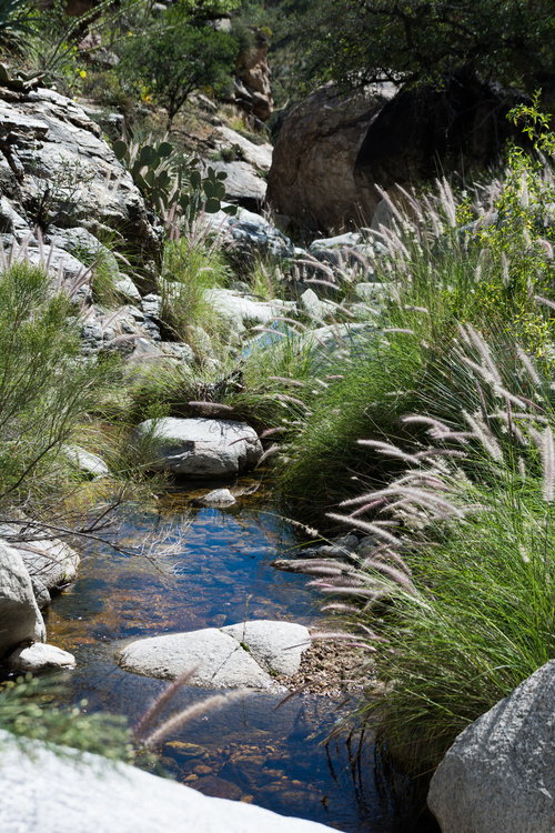 Ventana canyon