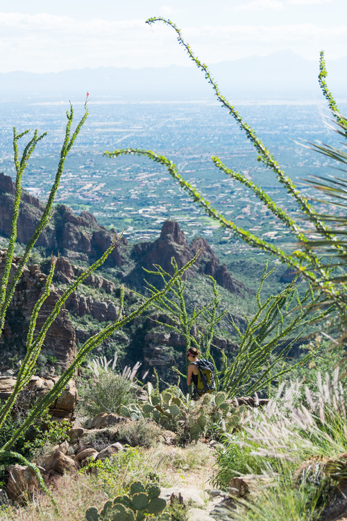 Ventana canyon