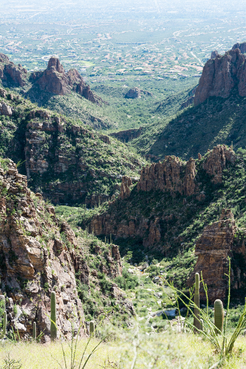 Ventana canyon