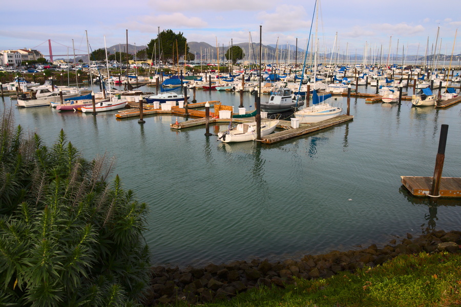 Marina
