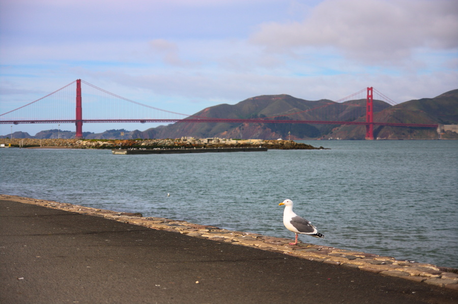 Golden Gate Bridge
