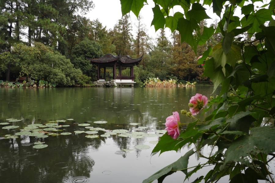 Jardins chinois