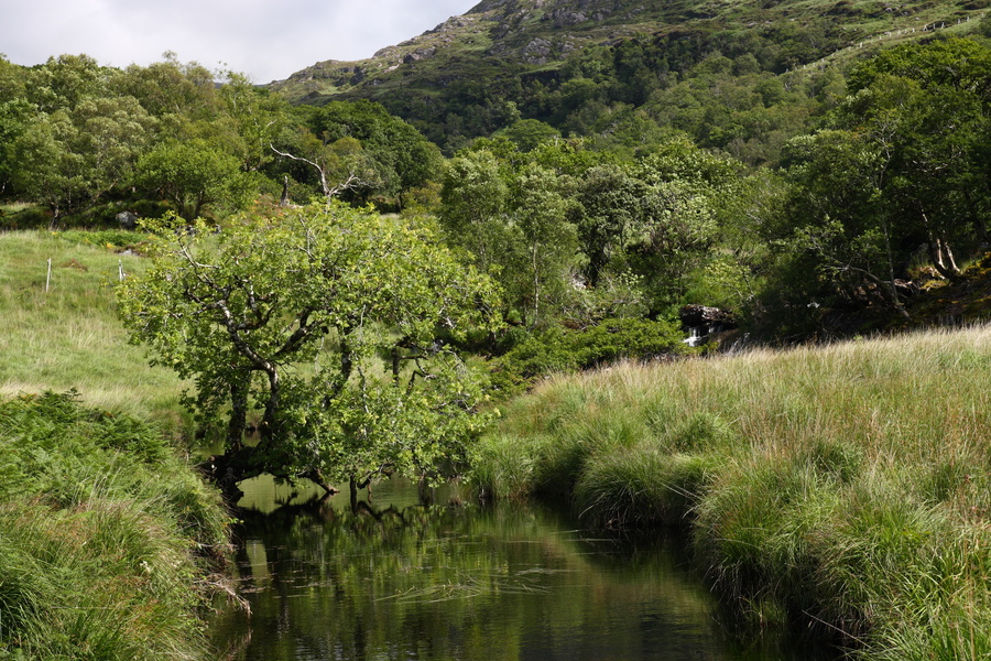 Kerry way