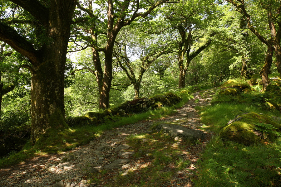 Kerry way