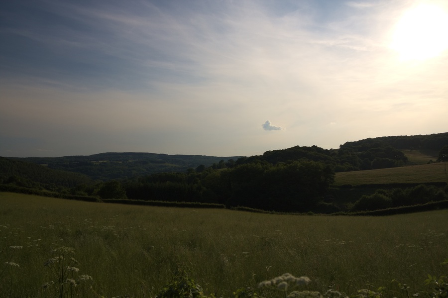 Les champs de Corbé