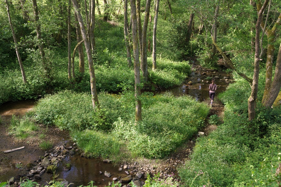 Source de l'Yonne