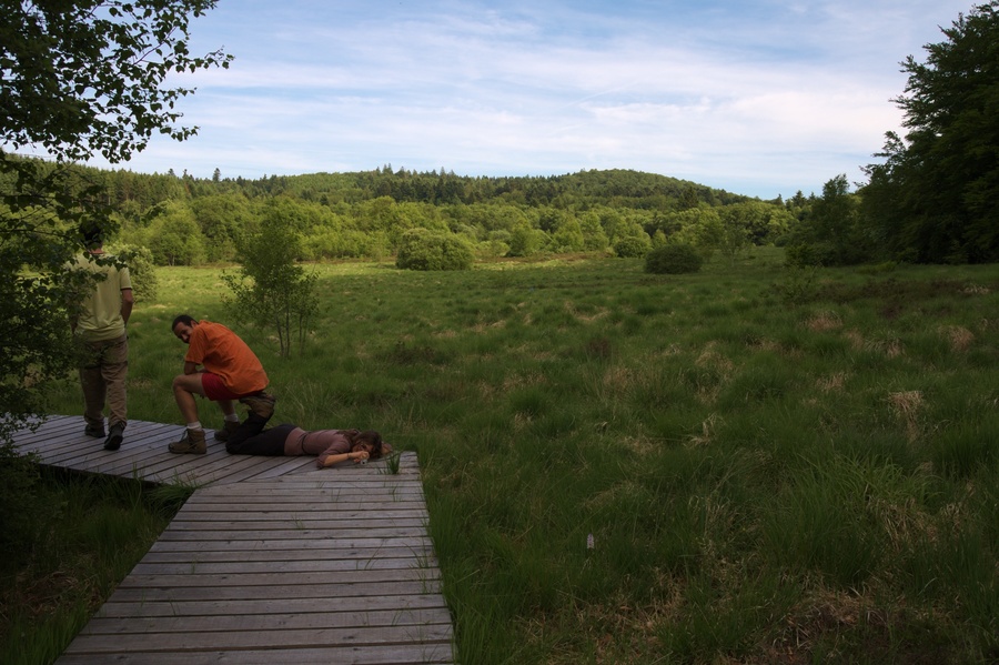 Source de l'Yonne