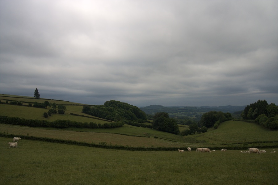 Vallons