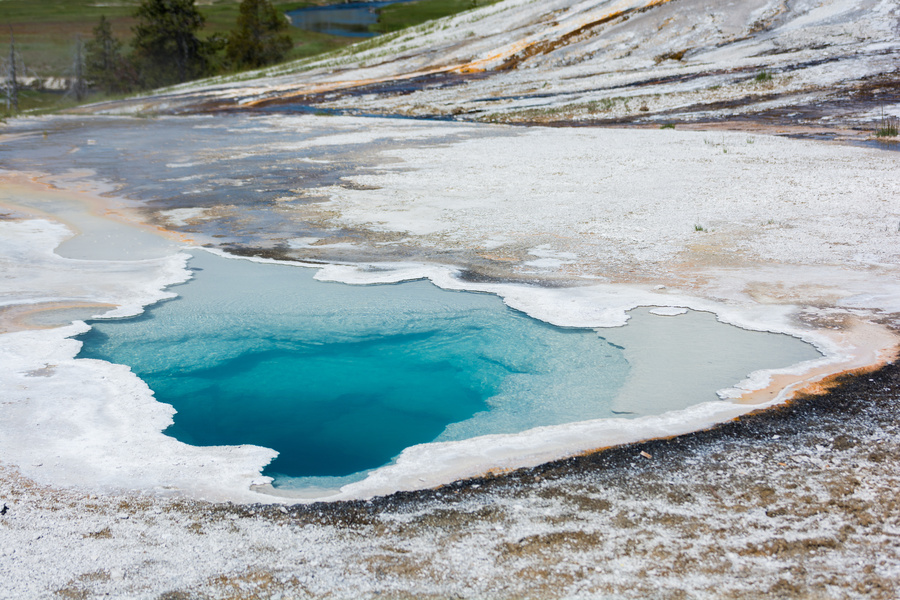Heart Spring