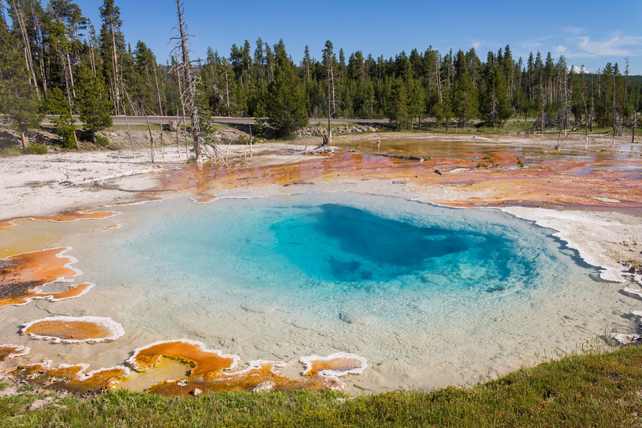 Silex Spring