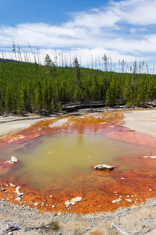 Echinus Geyser