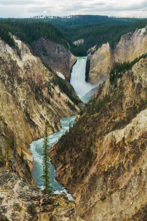 Grand Canyon of the Yellowstone