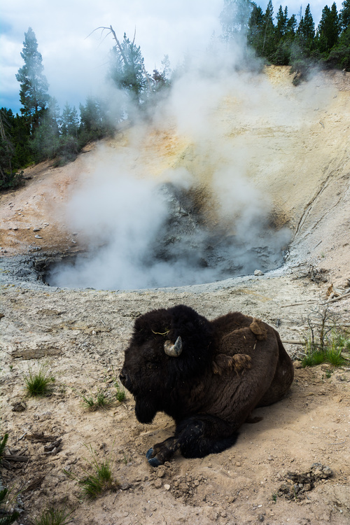 Mud Volcano