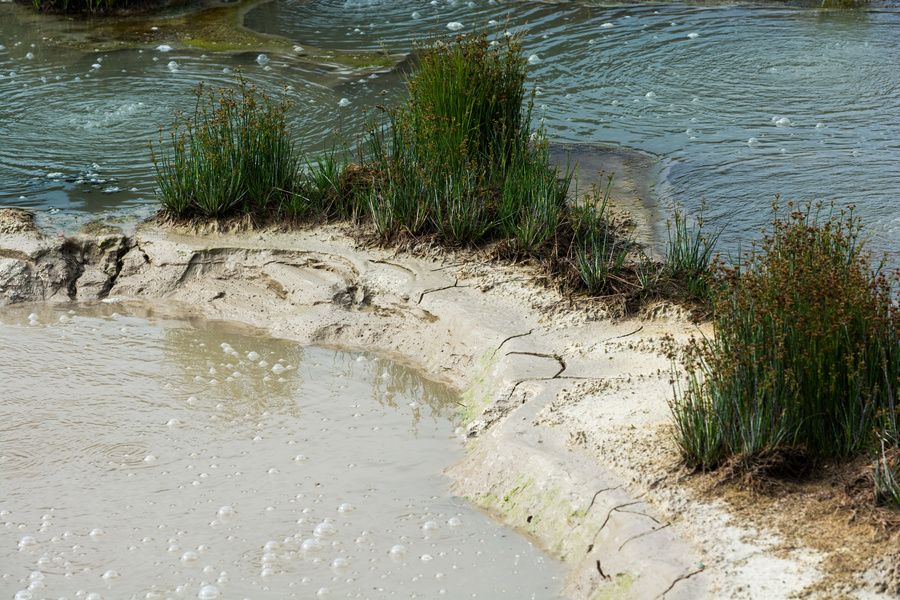 Mud Cauldron