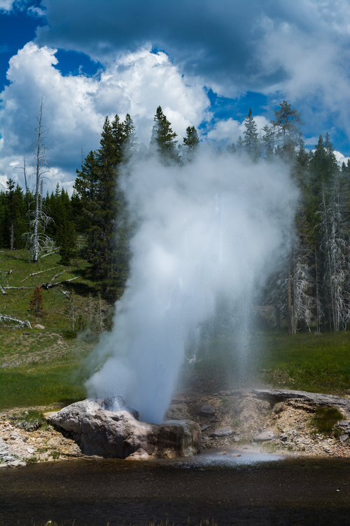 Riverside Geyser