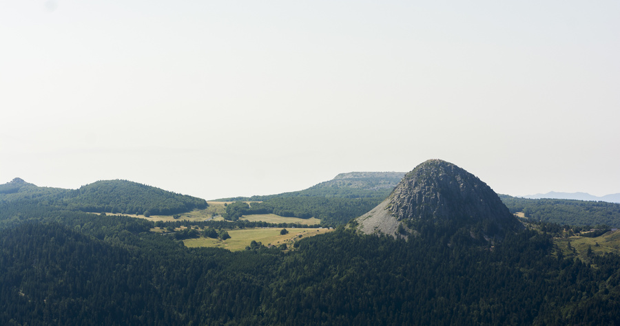 Gerbier