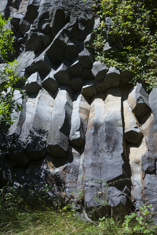 Orgues