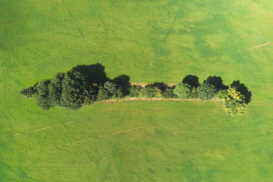 Pré