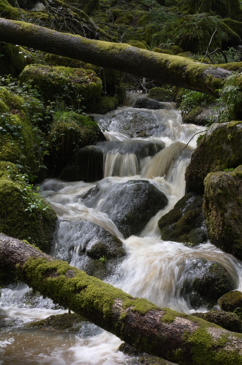 Morvan