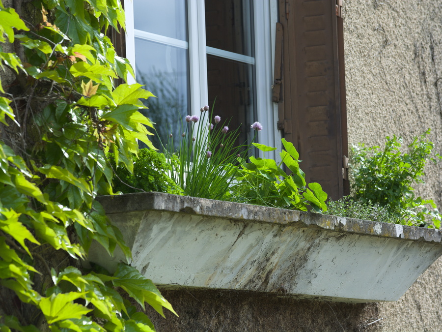 Jardinière