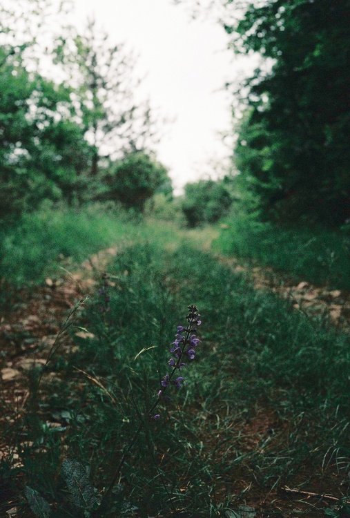 Chemin