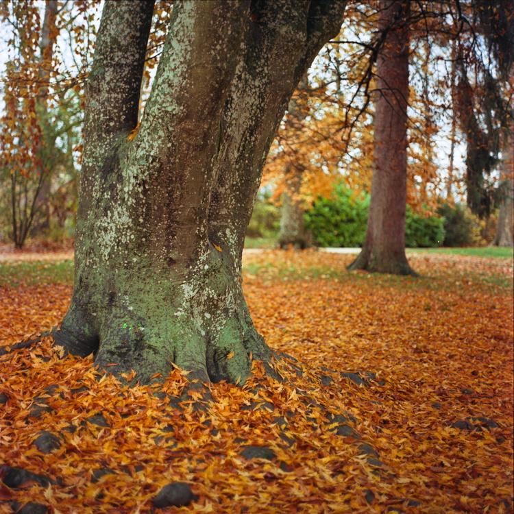 Parc de la Bouzaize