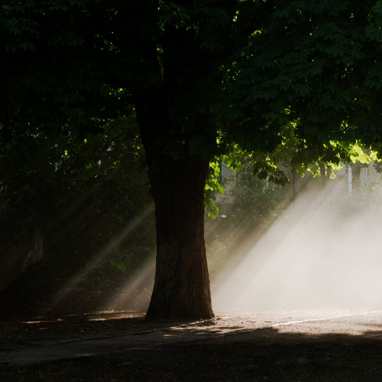 Square de Bénédictins