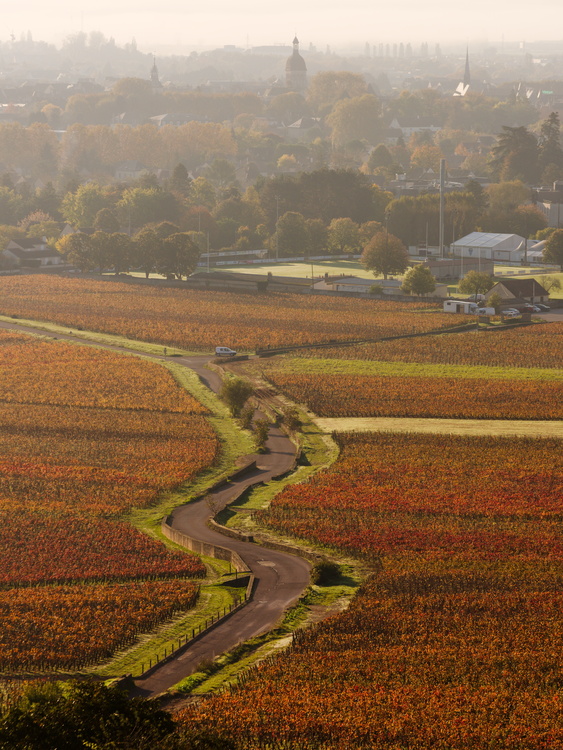 Chemin de l'écu